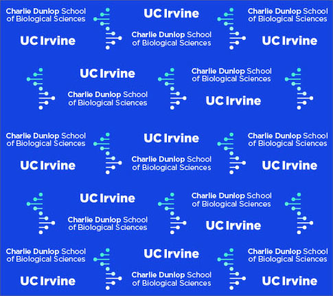 Accent graphic used on a step-and-repeat backdrop