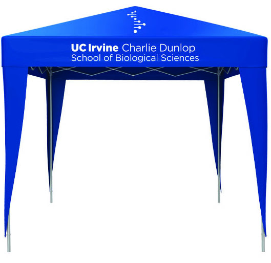 Accent graphic used on a canopy